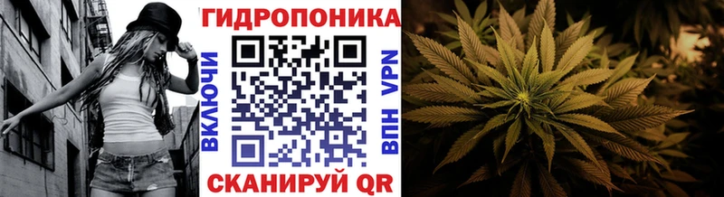 Купить Елизаветинская Гашиш  Кокаин  А ПВП  Метадон  Меф 