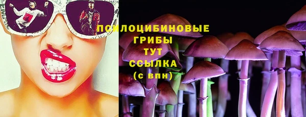 трава Верхнеуральск